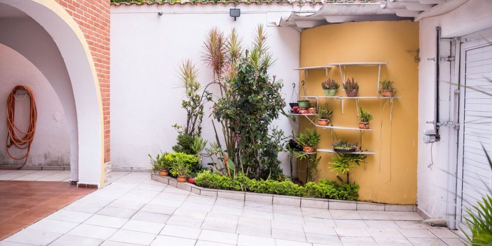 WhatsApp Image 2025-01-21 at 08.14.06