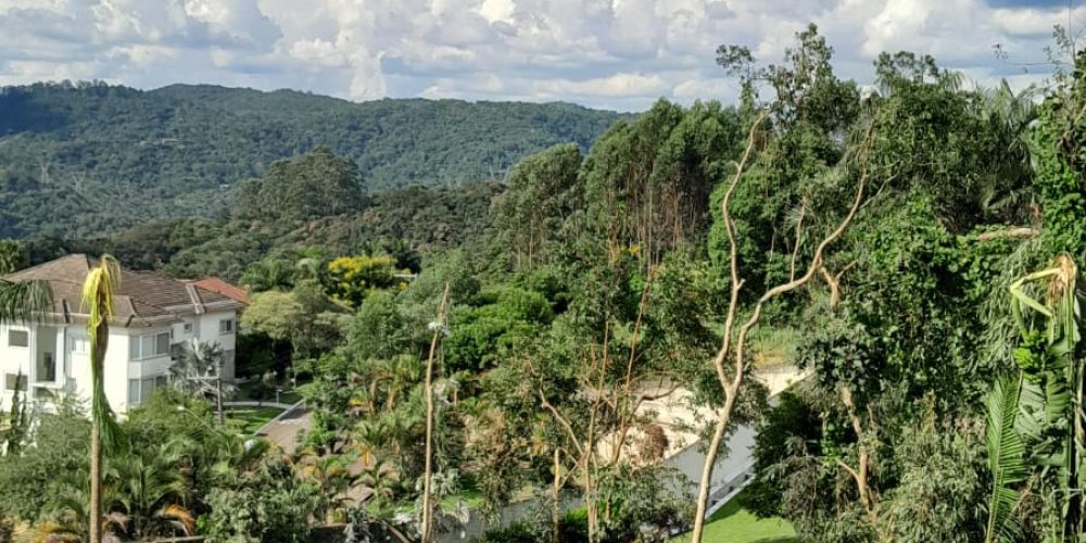 WhatsApp Image 2025-07-31 at 11.25.44 (2)