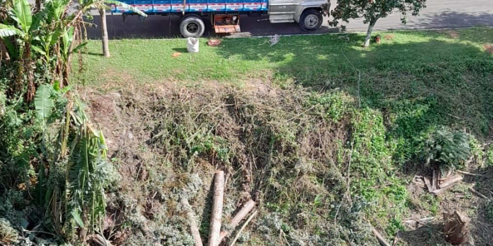 WhatsApp Image 2025-07-31 at 11.25.45 (1)