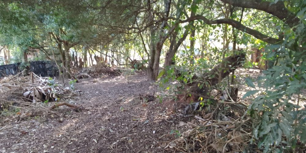 WhatsApp Image 2025-08-21 at 16.11.20 (1)