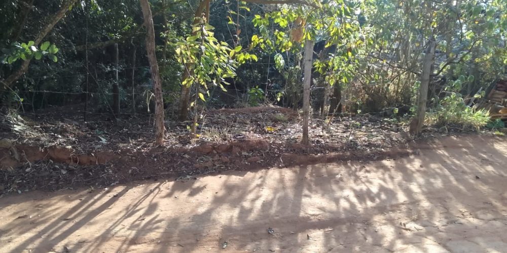 WhatsApp Image 2025-08-21 at 16.11.20