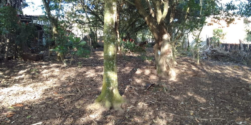 WhatsApp Image 2025-08-21 at 16.11.21