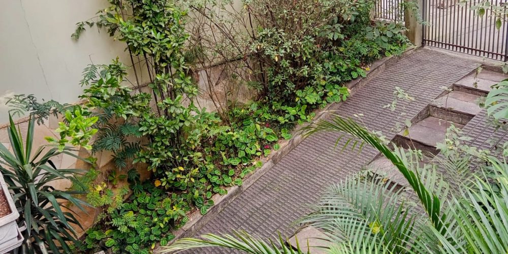 WhatsApp Image 2025-09-09 at 12.08.16 (1)