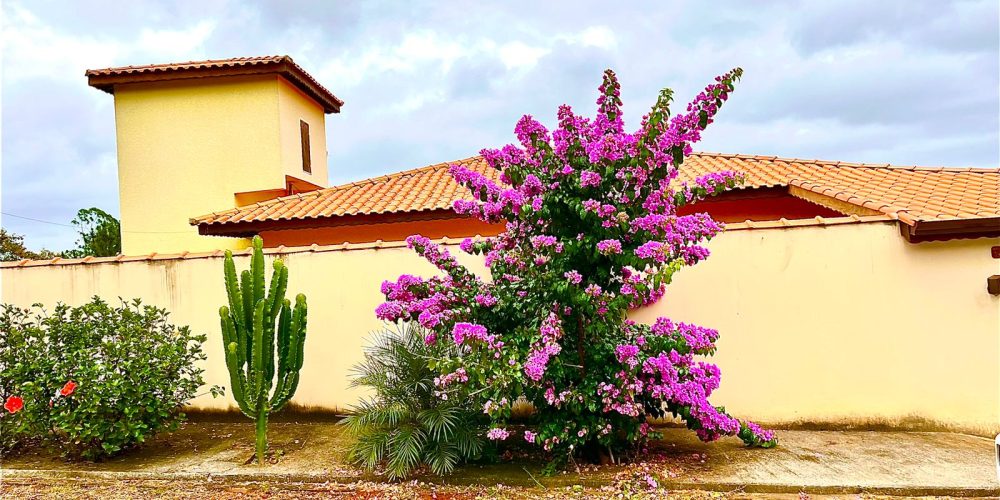 WhatsApp Image 2025-09-09 at 22.37.53 (3)