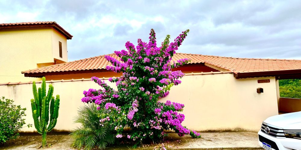 WhatsApp Image 2025-09-09 at 22.37.53 (4)