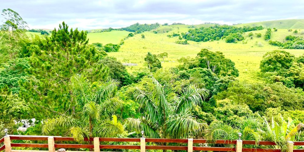 WhatsApp Image 2025-09-09 at 22.37.54 (2)