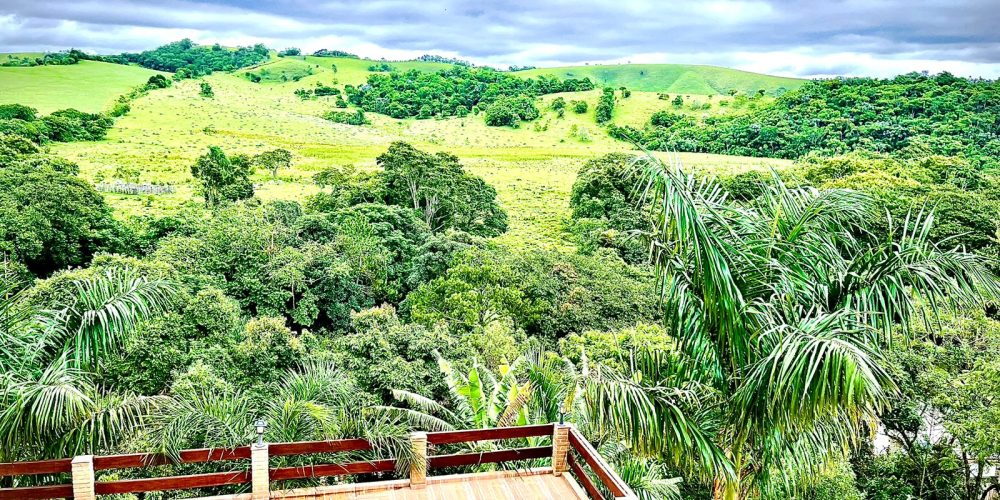 WhatsApp Image 2025-09-09 at 22.37.55 (1)