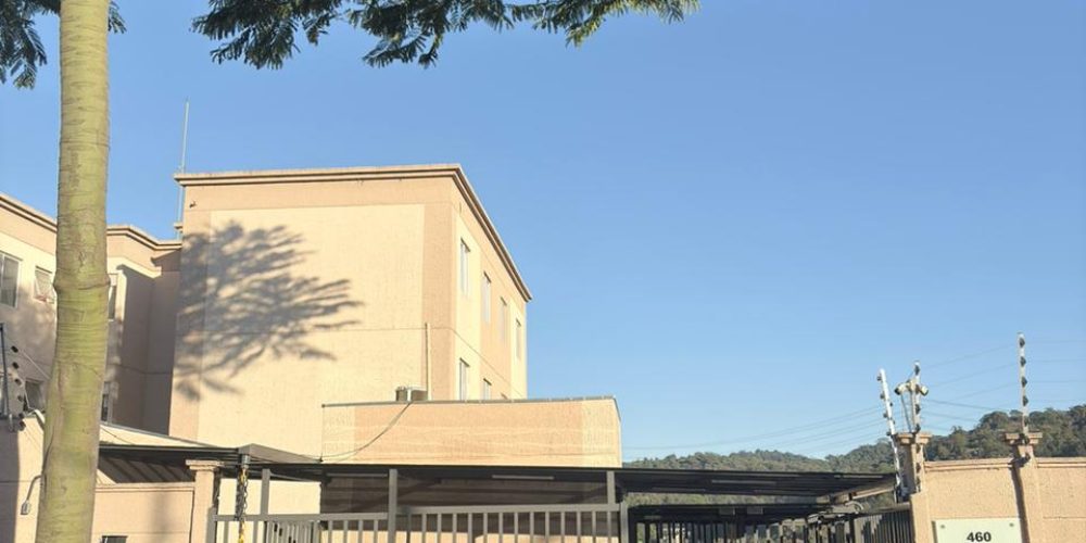 WhatsApp Image 2026-01-20 at 11.48.09