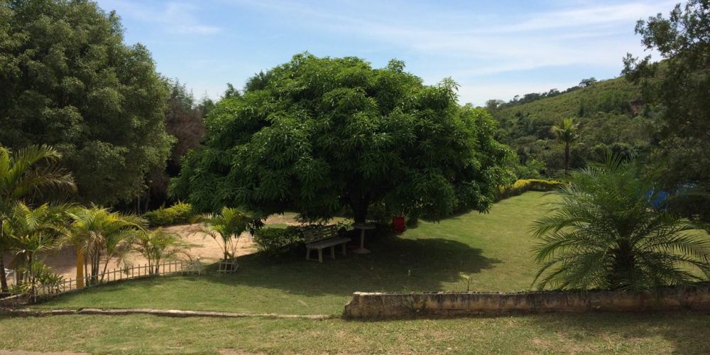 WhatsApp Image 2026-01-28 at 11.44.23 (10)