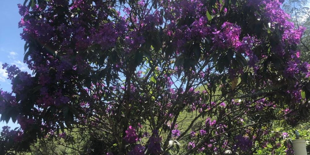 WhatsApp Image 2026-01-28 at 11.44.23 (3)