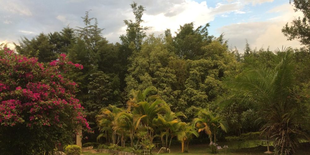 WhatsApp Image 2026-01-28 at 11.44.23 (4)