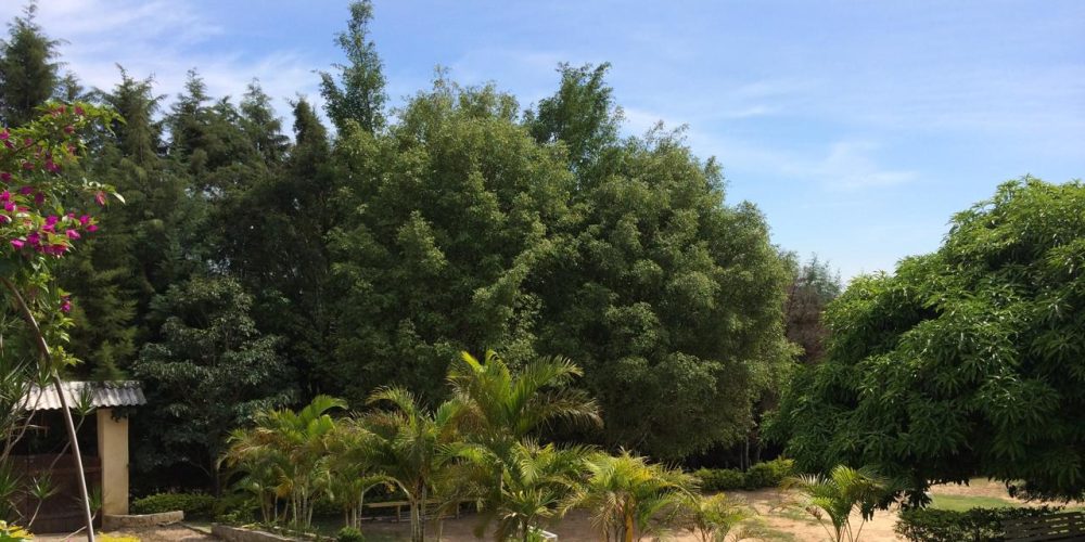 WhatsApp Image 2026-01-28 at 11.44.23 (9)