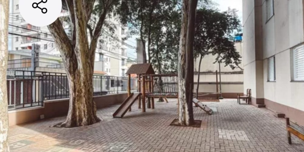 WhatsApp Image 2026-02-18 at 14.49.27