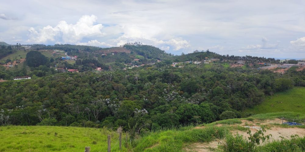 WhatsApp Image 2026-03-03 at 09.49.09 (5)