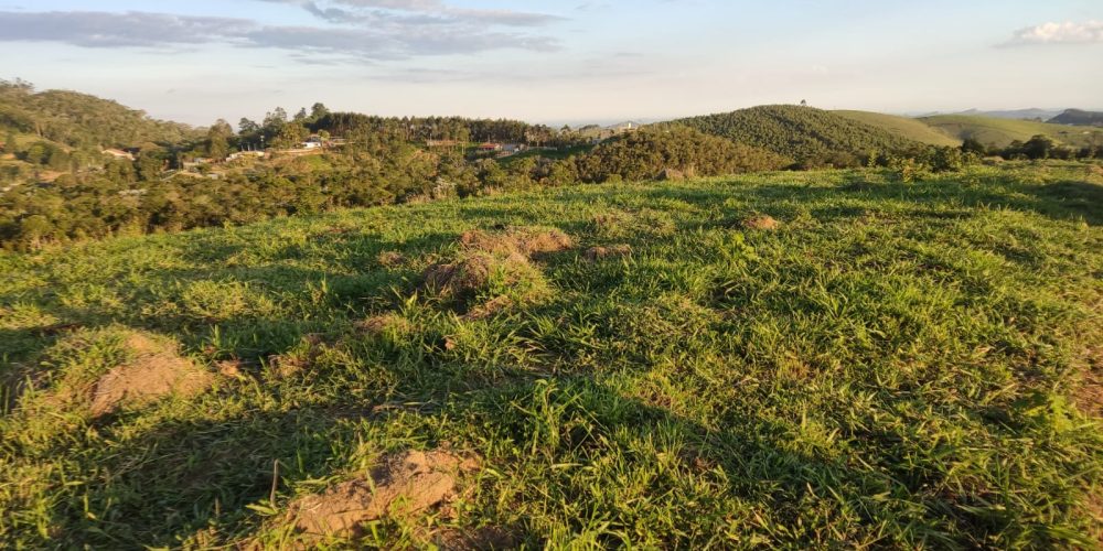 WhatsApp Image 2026-03-03 at 09.49.11