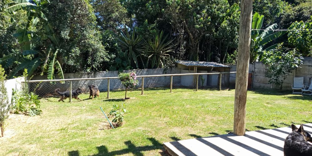 WhatsApp Image 2026-03-30 at 14.37.46