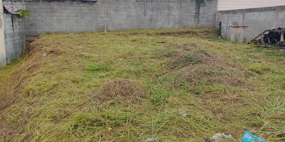 WhatsApp Image 2026-04-16 at 11.55.30